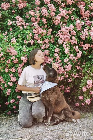 Шоколадная лайка Марта ищет дом