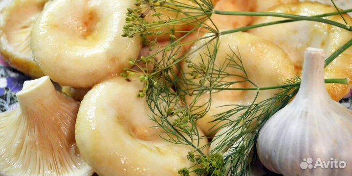 Грибы, соленые Грузди, белые, маслята, опята