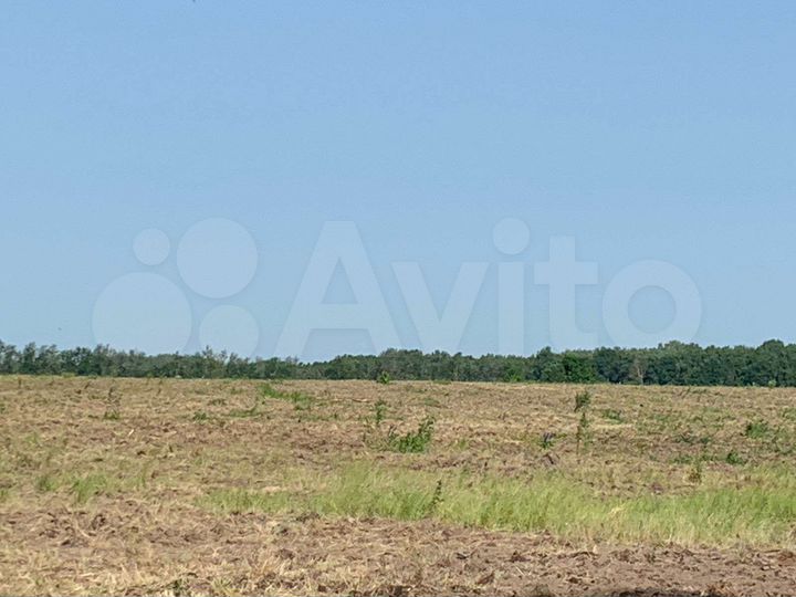 Участок 10 га (СНТ, ДНП)