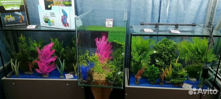 Аквариумы