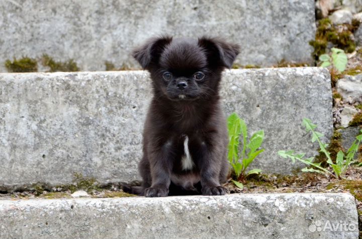 Очень красивый мальчик