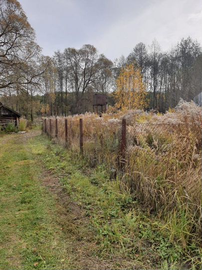 Участок 16,6 сот. (ИЖС)