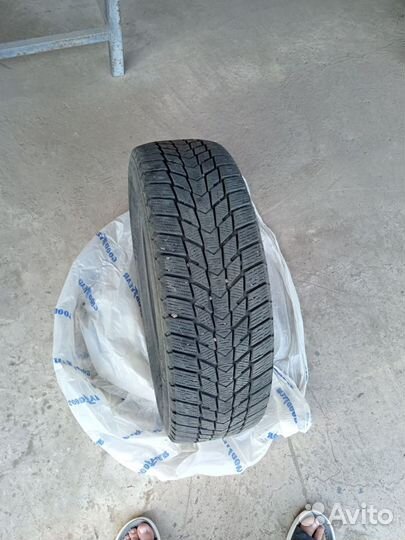 Nexen Winguard Ice Plus 185/65 R15 92T