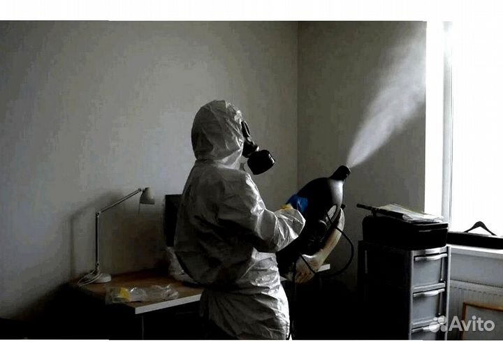 Уничтожение клопов тараканов