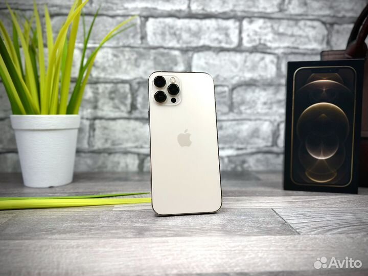 iPhone 12 Pro Max, 256 ГБ