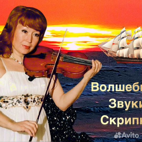 Живая музыка скрипка