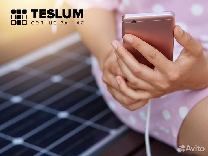 Teslum-готовый бизнес по продаже электростанций