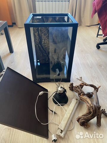 Террариум для рептилий
