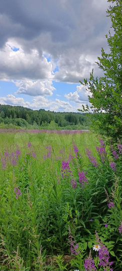 Участок 30 сот. (ИЖС)