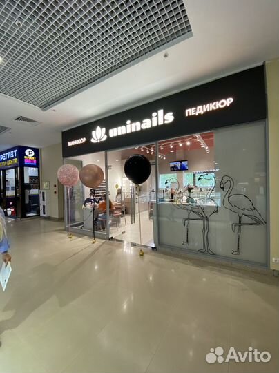 Администратор бровист