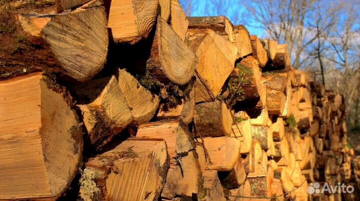 Дрова 40 см