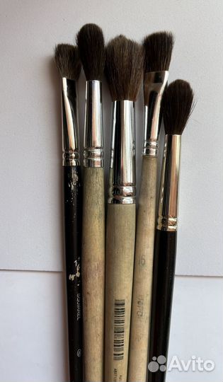 Кисти художественные колонок, белка, щетина