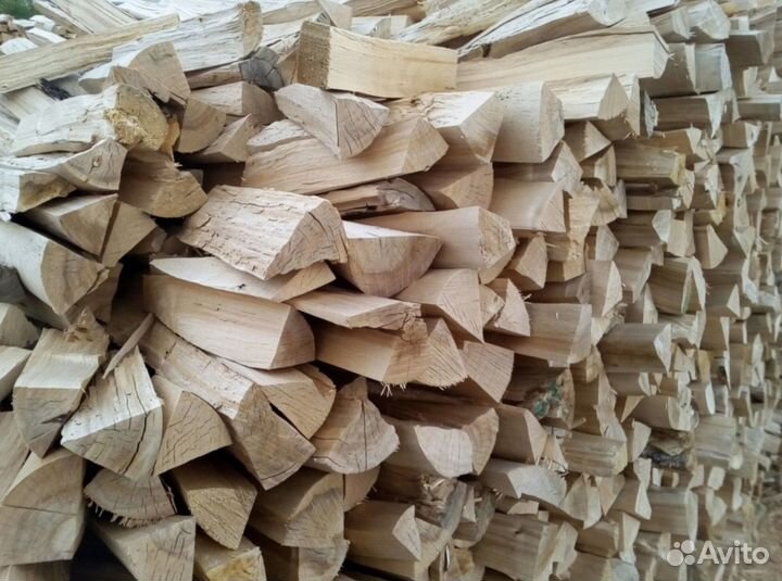 Дрова береза