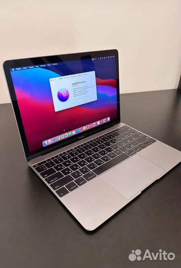 Macbook (Retina, 12-inch, Early2016)