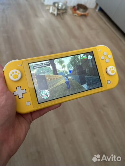 Nintendo switch lite