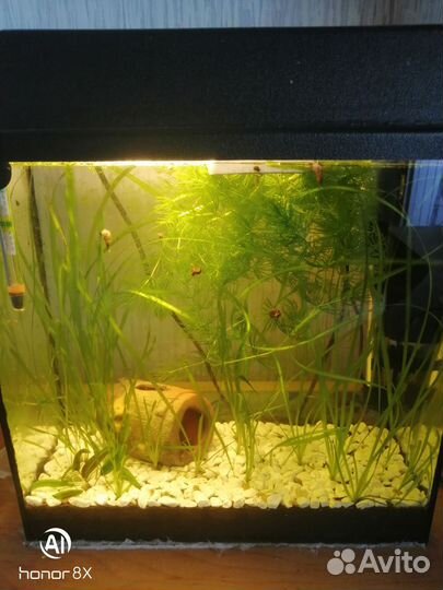 Аквариум