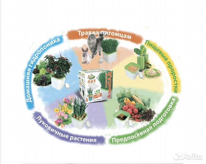 Проращиватель для семян