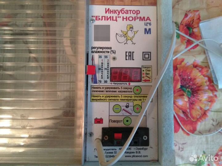 Инкубатор блиц norma