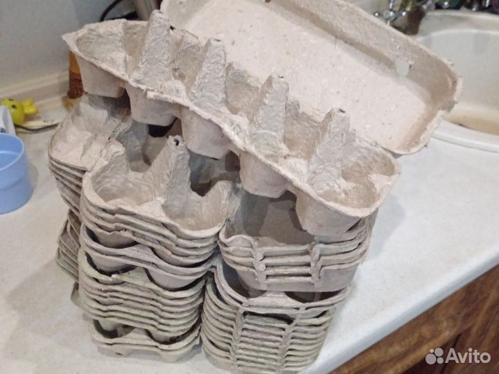 Коробки для яиц