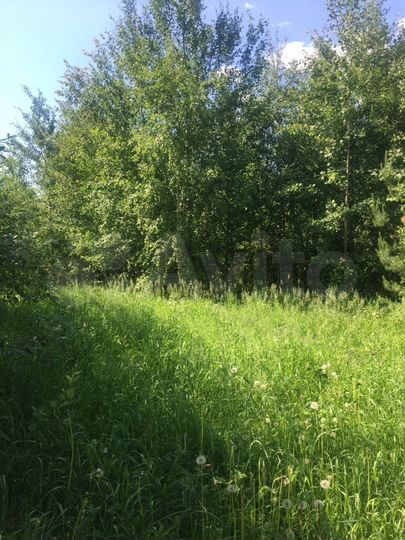 Участок 36 сот. (СНТ, ДНП)