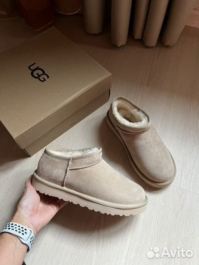 Ультракороткие Угги Ugg Tasman Sand бежевые