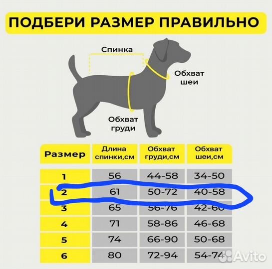 Дождевик для собак (для девочки)