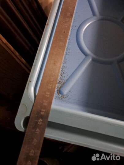 Поддон для рассады