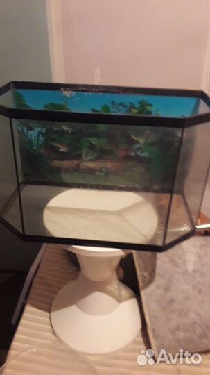 Аквариум
