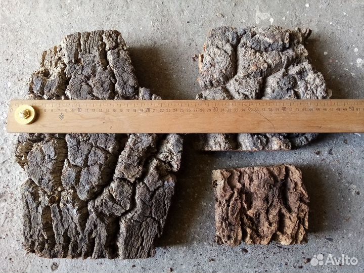 Кора пробкового дуба