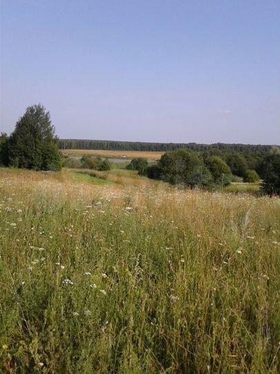 Участок 10 сот. (СНТ, ДНП)