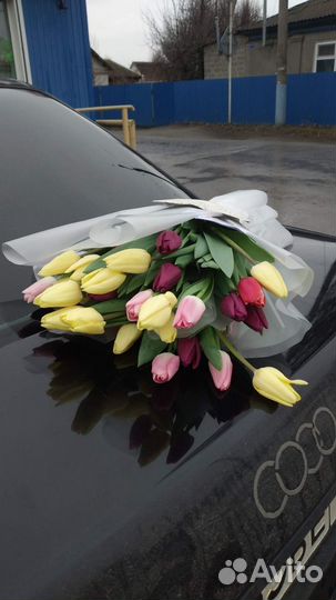 Тюльпаны к 8 марта розница