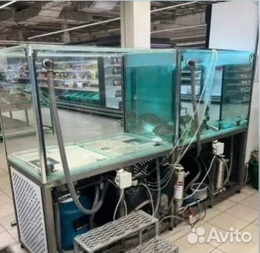 Аквариум для продажи живой рыбы
