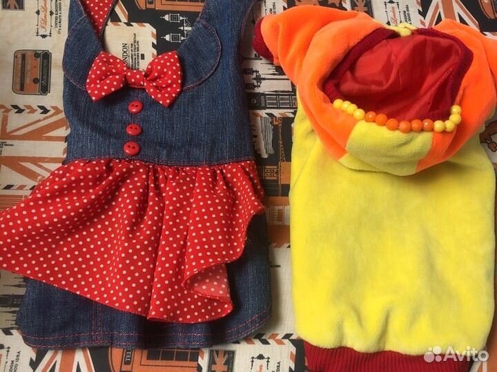 Одежда доя собак