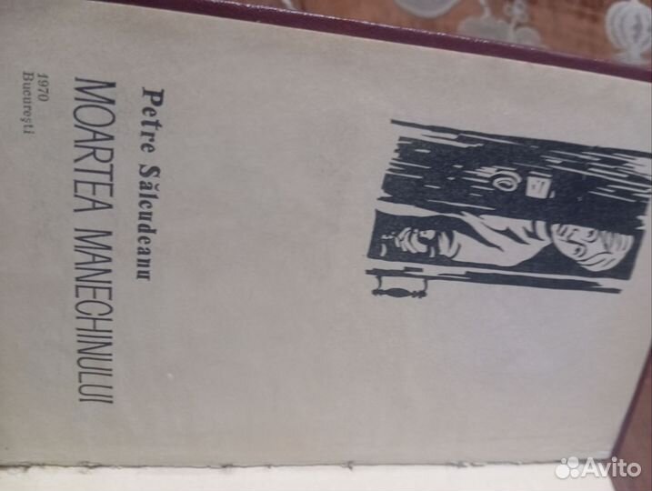 Петре Сэлкудяну - Смерть Манекенщицы