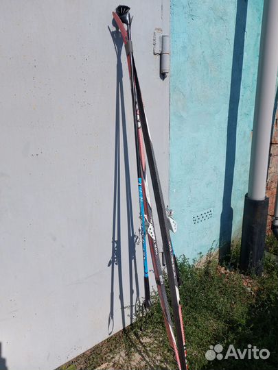 Лыжи с палками