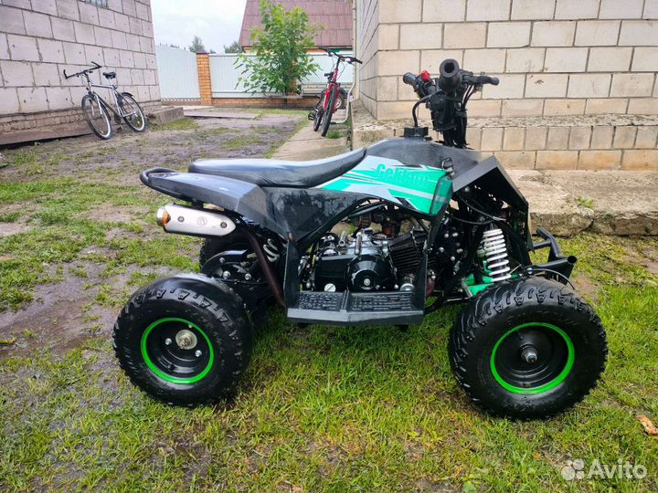 Motax gekkon 70cc