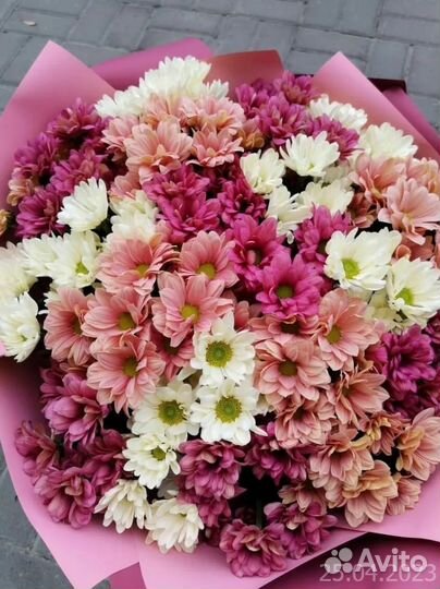 Хризантемы. Доставка цветов