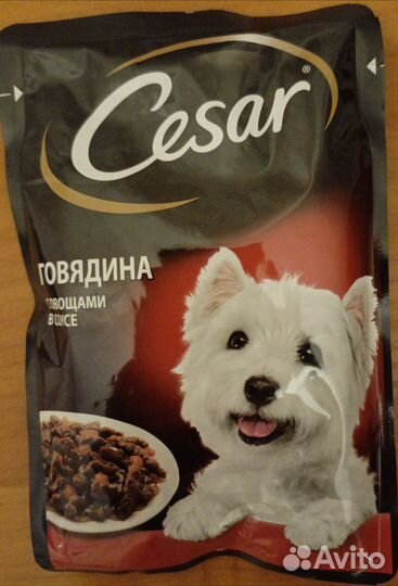 Корм для собак