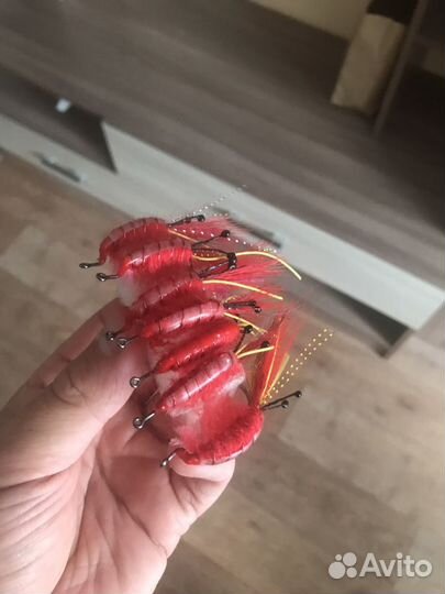 Муха креветка