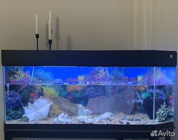 Плёнка пвх - Задний фон для аквариума