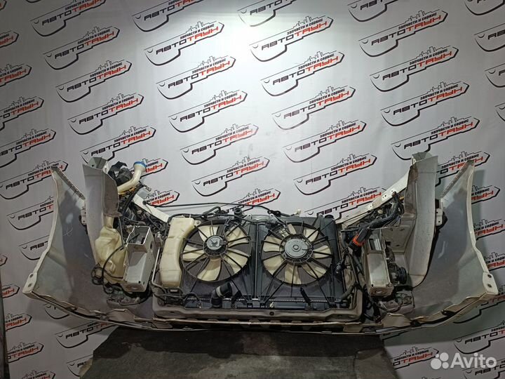 Nosecut honda odyssey RB1 RB2 2 модель absolute 71