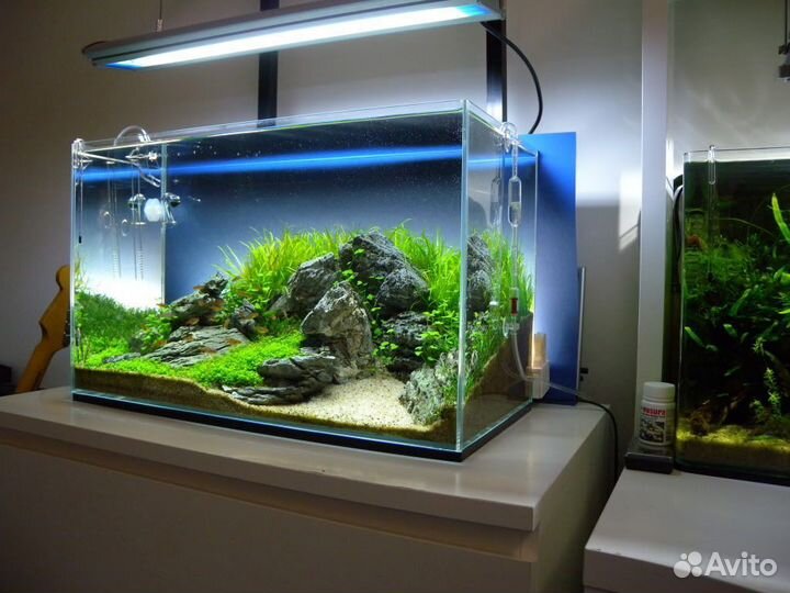 Оформление аквариума, акваскейп