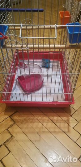 Клетка для попугаев