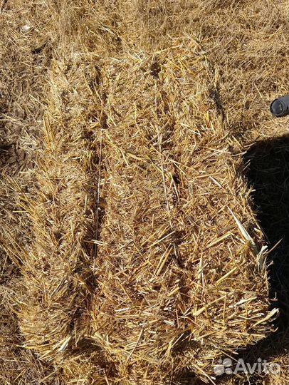 Солома в тюках с доставкой