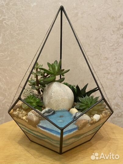 Флорариум, бонсариум, орхидариум (цветы в аквариум