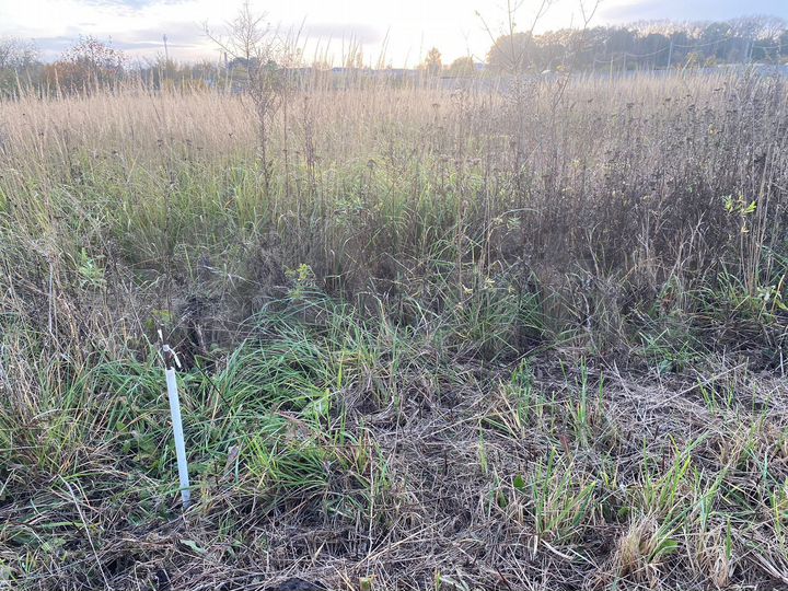 Участок 12 сот. (ИЖС)