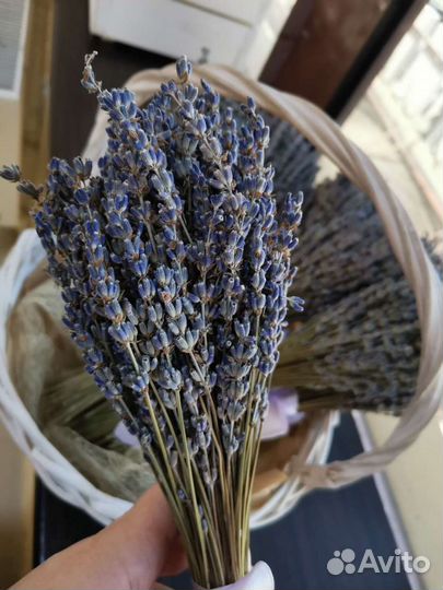 Букет лаванды