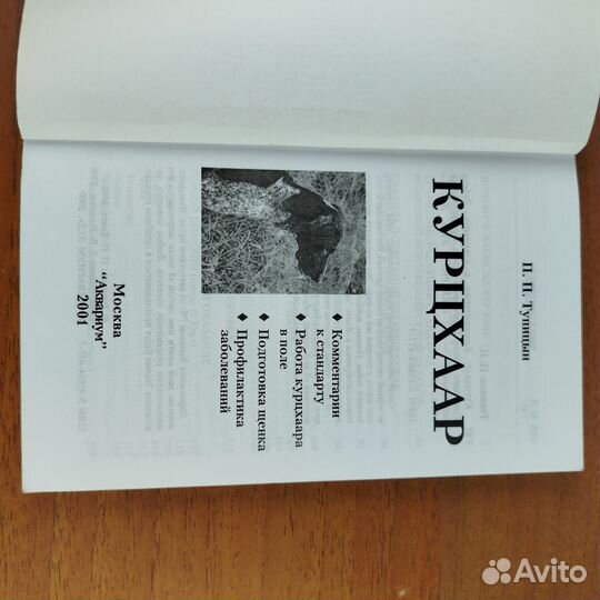 Курцхаар. П. Тупицын. 2001г