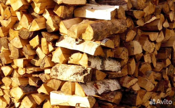 Дрова без жучков