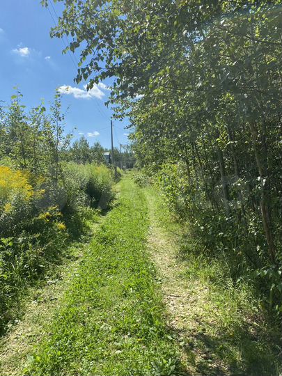 Участок 12,8 сот. (СНТ, ДНП)